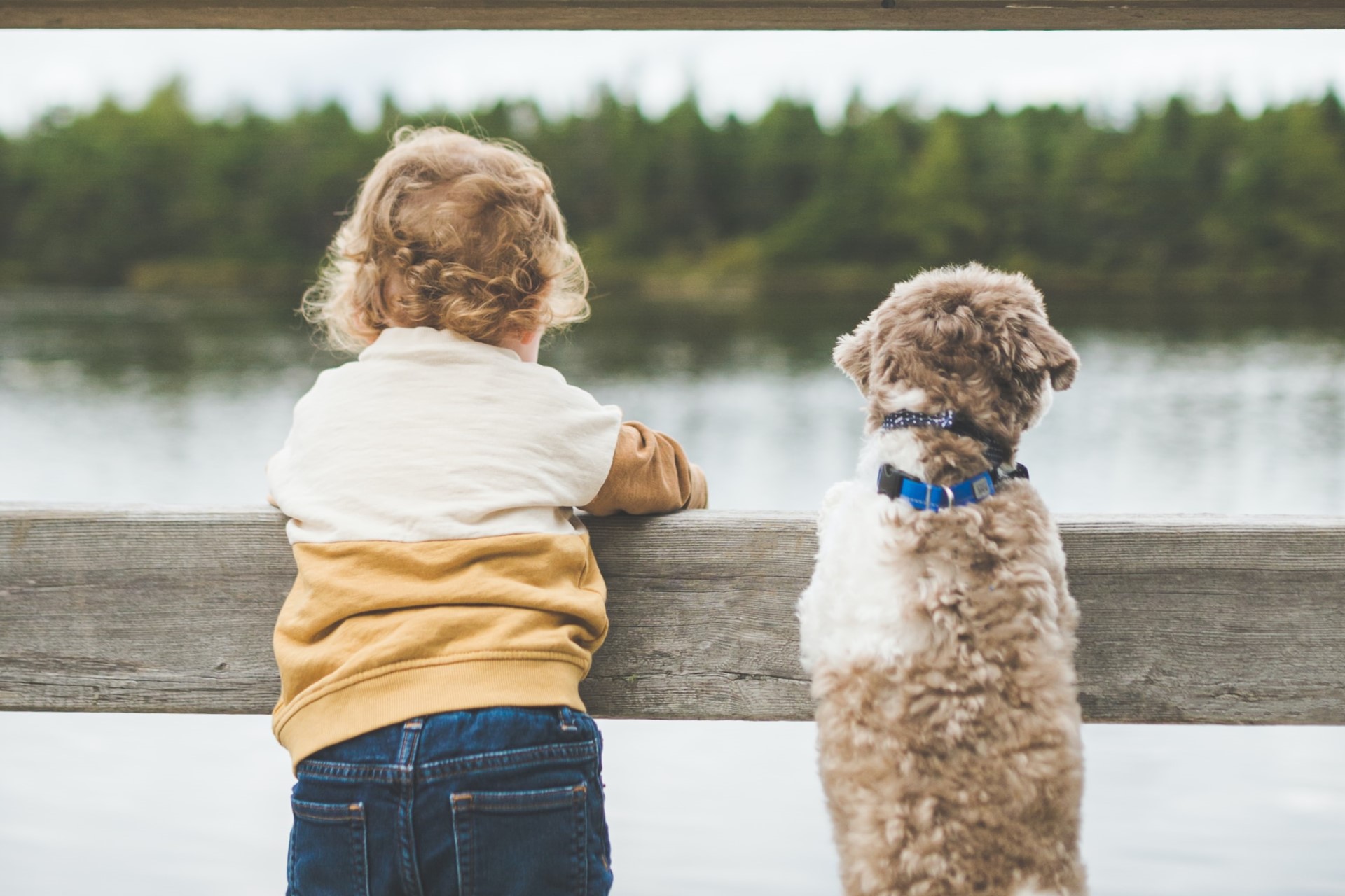 企業理念｜First Reach (Thailand) Co.,Ltd.