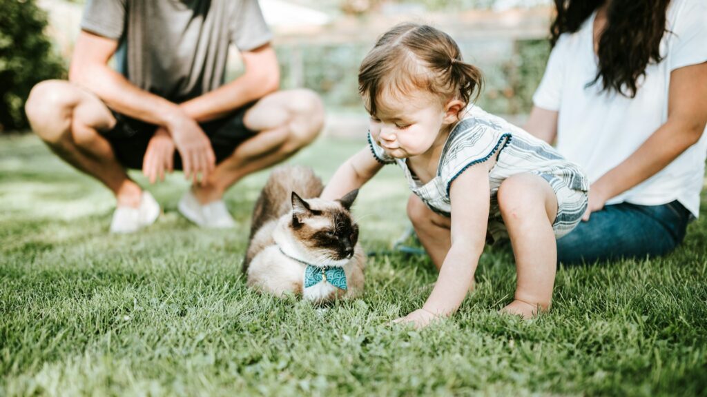 成長するタイのペットフード産業