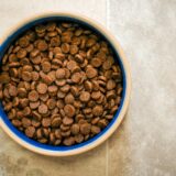 Pet Food OEM Development Costs: How to Deliver High Quality While Keeping Costs Down