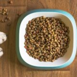 Thailand’s Pet Food Market Surges in the Global Arena: Growth Outlook and Opportunities