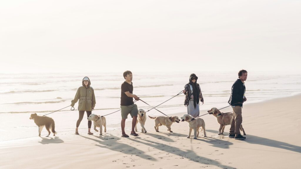 タイのペットフード産業が成長した背景