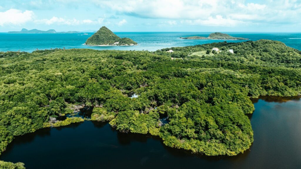 ツナ缶でサステナブルな社会を