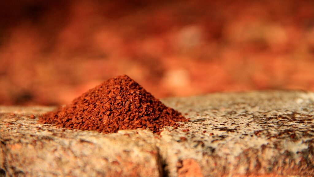 肉粉末、肉副産物とは？