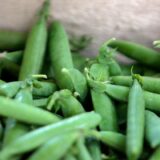 ドッグフード製造におすすめの原材料！豆類のメリット