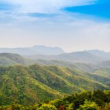 Initiatives to Promote Sales of Thai Premium Pet Food