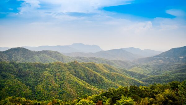 Initiatives to Promote Sales of Thai Premium Pet Food