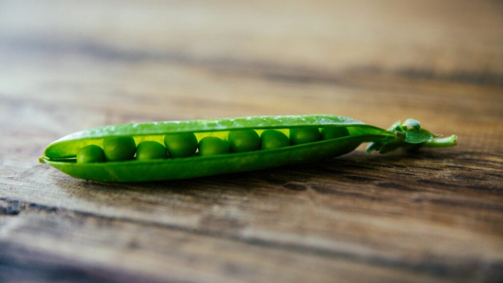 豆類がもたらす恩恵