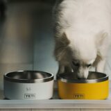 生肉、ミートミール？ドッグフードに最適なタンパク質