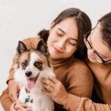 【必見】ペットフード製造業界における５つのトレンド