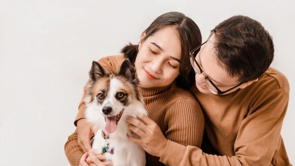 【必見】ペットフード製造業界における５つのトレンド