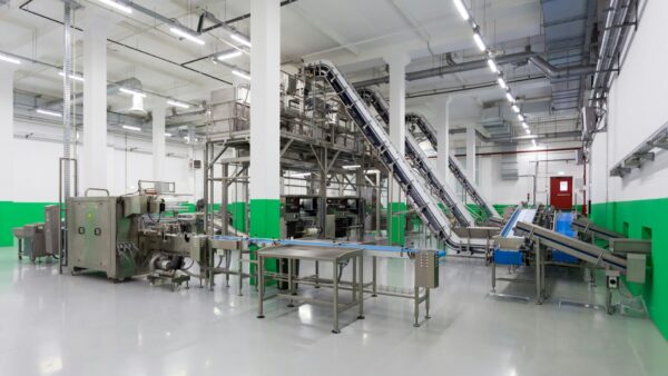 【基本ガイド】オリジナルペットフードのOEM製造