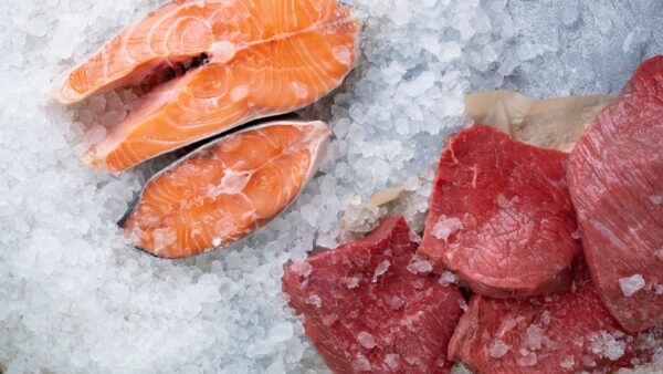 高タンパク質だけではダメ！犬が消化しやすい食材とは