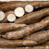 ドッグフード製造におすすめの原材料！キャッサバとは