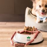 本当に低脂肪で良いの？ペットフードにおける脂肪の役割