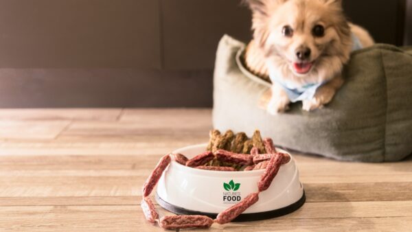 本当に低脂肪で良いの？ペットフードにおける脂肪の役割