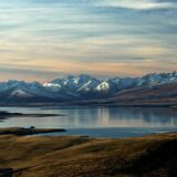 Benefits and Competitive Advantages of OEM Dog Food Manufacturing in New Zealand