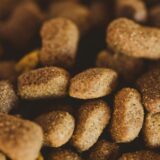 犬猫向け総合栄養食の基準となるAAFCOガイドライン