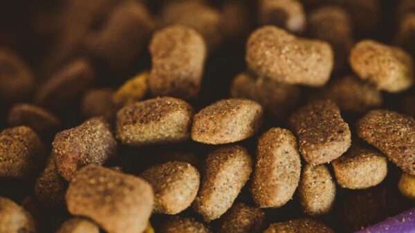 犬猫向け総合栄養食の基準となるAAFCOガイドライン