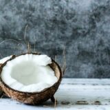 中鎖脂肪酸（MCT）による犬の認知機能、消化器、心臓の健康サポート