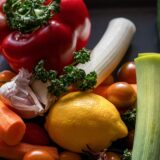 ペットと人々のための植物ベースの食品の未来