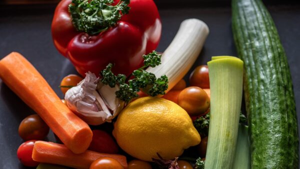 ペットと人々のための植物ベースの食品の未来