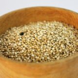 古代穀物のペットフードへの活用動向とメリット