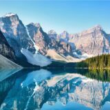 Strategic Advantages of Dog Food Manufacturing via Canadian OEM Partners_Private Label