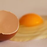 犬用ペットフードにおける卵殻膜の効果とリスク