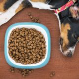 ペットフードのカロリー計算式とMEの実務的理解と応用