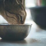 犬猫用総合栄養食の給与量設定とラベル表示実務ガイド