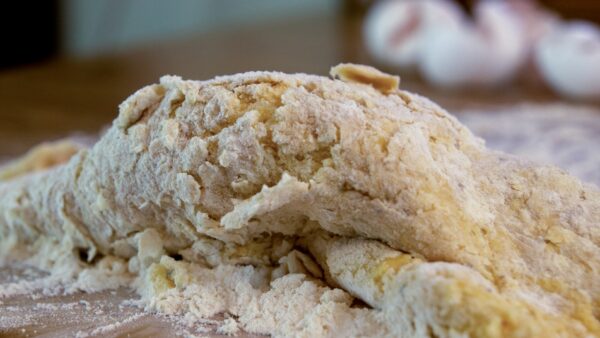 グルテンフリーは本当に必要？ペットフード開発で知っておくべき真実