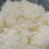 犬猫フードにおける炭水化物アルファ化（糊化）の仕組み