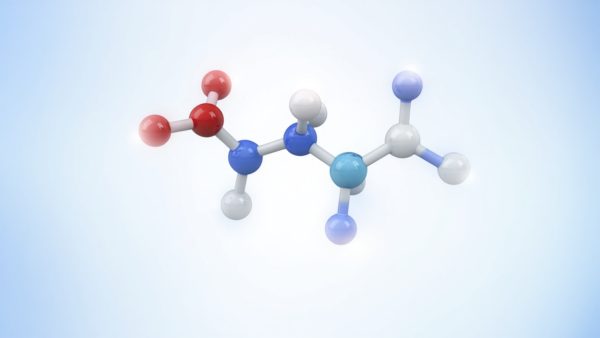 ペットフード開発におけるキレートミネラルの活用戦略