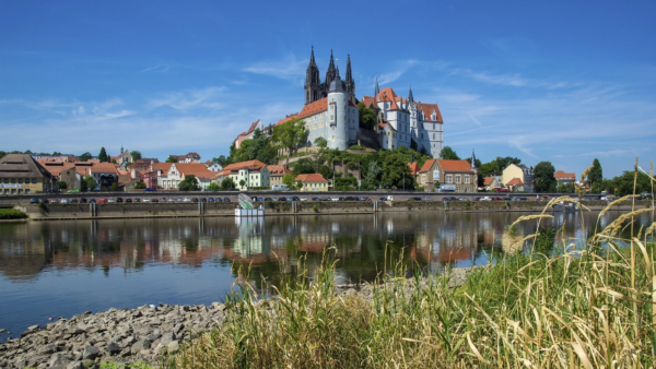 Characteristics, Strengths, and Challenges of German Pet Food OEM Manufacturers