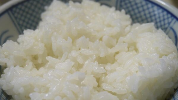 犬猫フードにおける炭水化物アルファ化（糊化）の仕組み