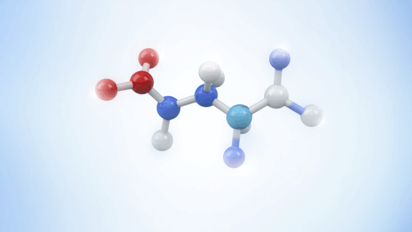 ペットフード開発におけるキレートミネラルの活用戦略