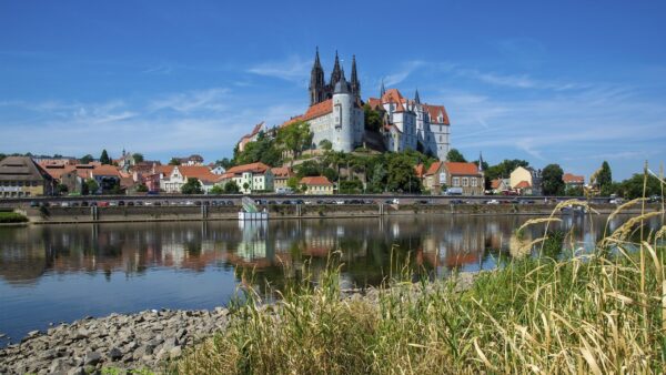 ドイツのペットフードOEM工場の特徴・強みと懸念点