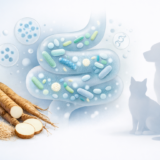 犬猫ペットフード開発におけるイヌリン活用の実務的ポイント