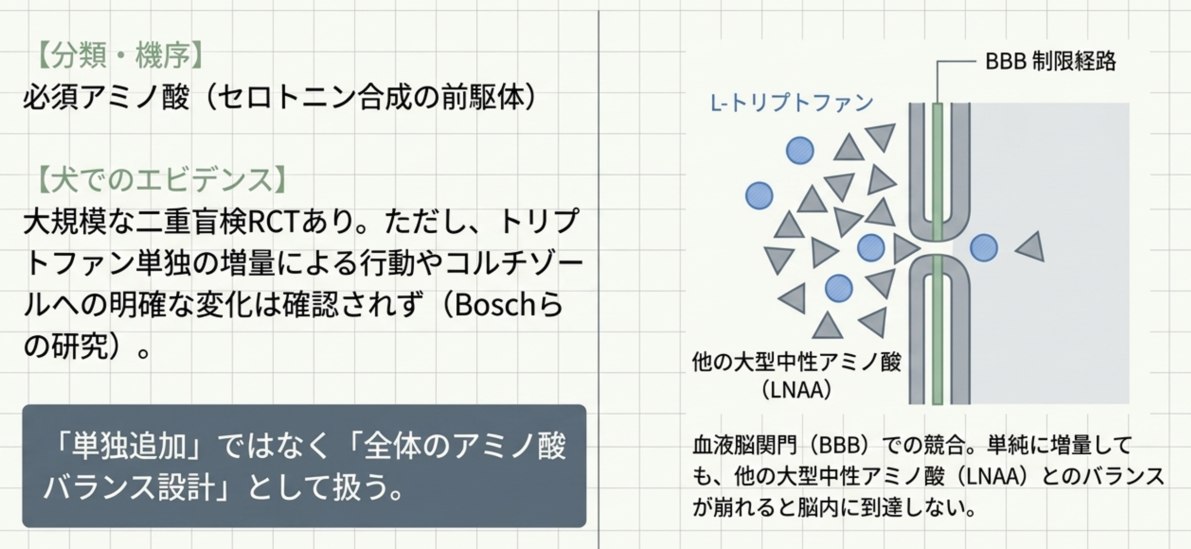 L-トリプトファンの特徴と配合実務